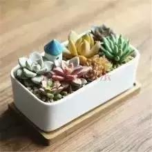 辦公室風(fēng)水禁忌&催財(cái)運(yùn)**！新的一年加薪看這里！