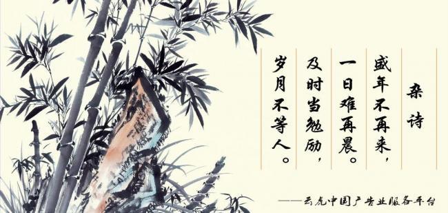 辦公室風(fēng)水?dāng)[件，助你事業(yè)風(fēng)生水起