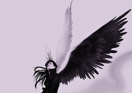 裝修第三方平臺(tái)，是裝修行業(yè)的天使還是惡魔