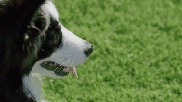 2017年＊流行，是時(shí)候給你點(diǎn)綠色瞧瞧了～